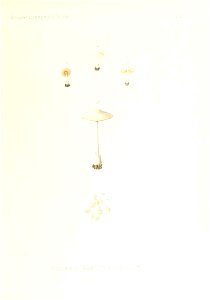 n190_w1150