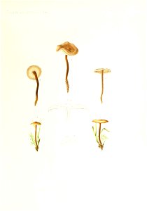n160_w1150