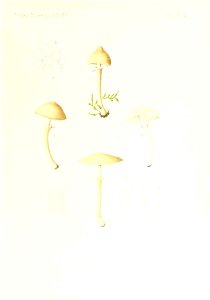 n40_w1150