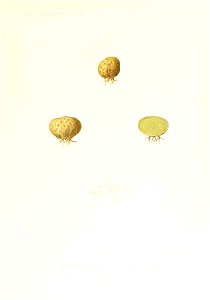 n398_w1150