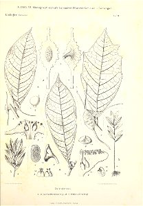 n56_w1150