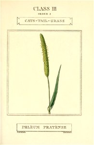 n76_w1150