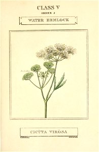 n142_w1150