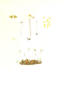 n266_w1150