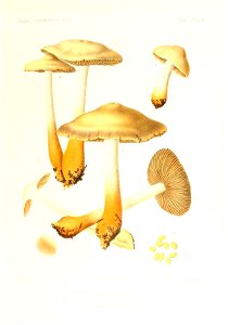n236_w1150