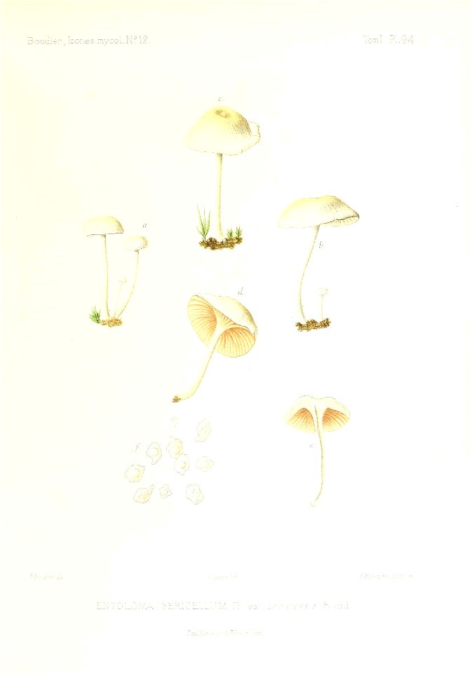 n206_w1150
