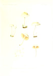 n206_w1150