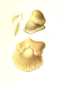 n176_w1150