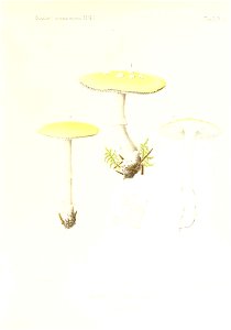 n14_w1150