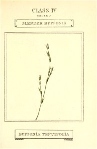n96_w1150