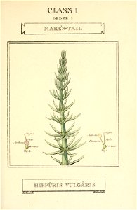 n36_w1150