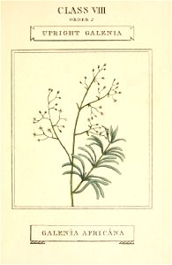 n206_w1150
