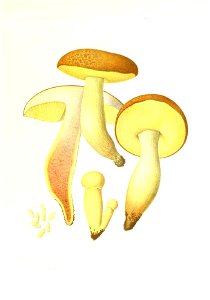n308_w1150