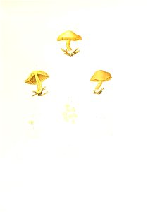 n278_w1150