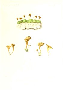 n158_w1150