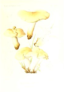 n68_w1150