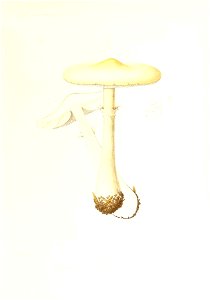 n38_w1150