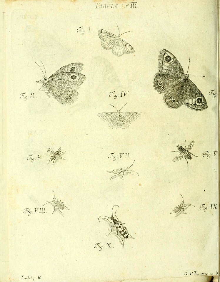 n145_w1150