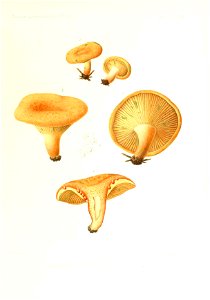 n116_w1150