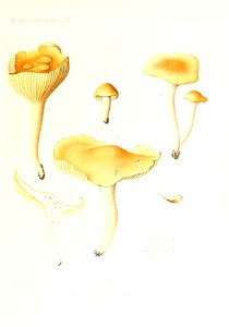 n86_w1150