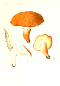 n56_w1150