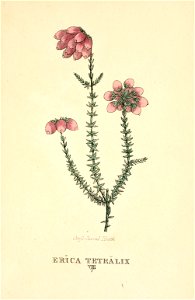 n202_w1150