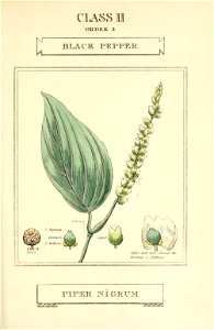 n56_w1150