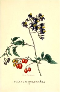 n138_w1150