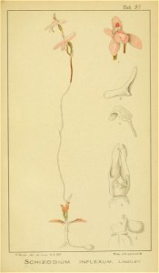 n396_w1150