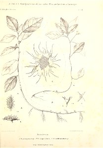 n58_w1150