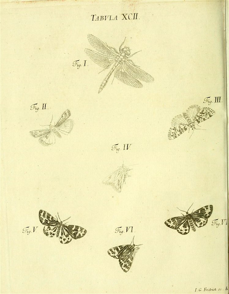 n217_w1150