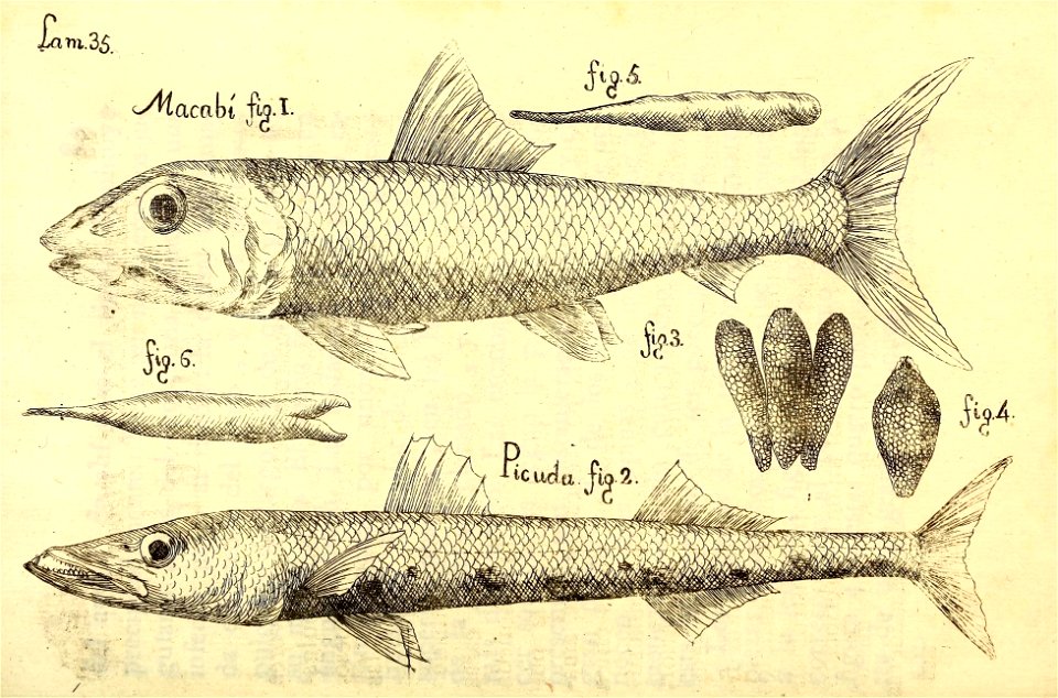 n176_w1150