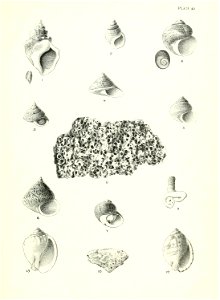 n168_w1150