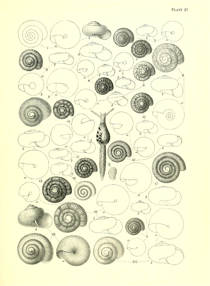 n108_w1150