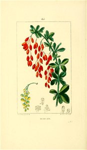 n47_w1150