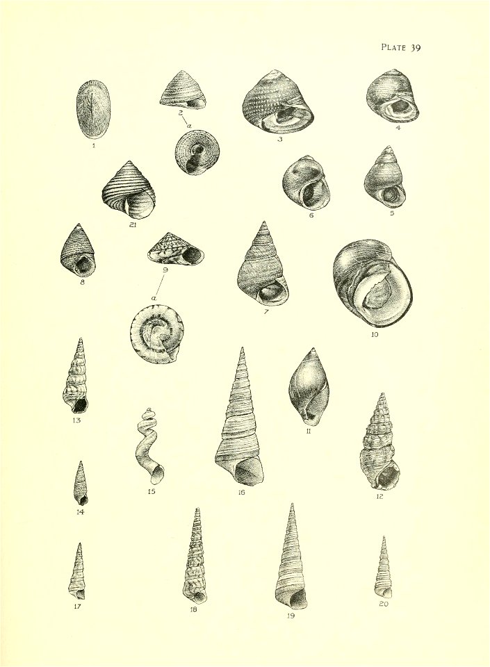 n164_w1150