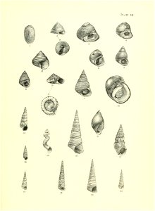 n164_w1150