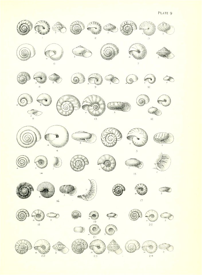 n44_w1150