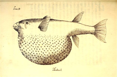 n93_w1150