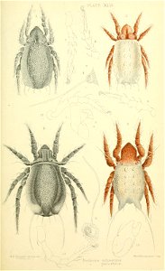 n424_w1150