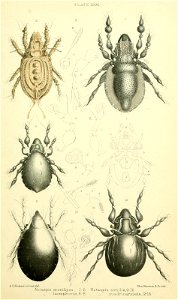 n364_w1150
