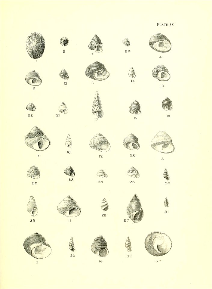 n160_w1150