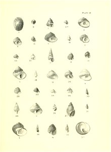 n160_w1150