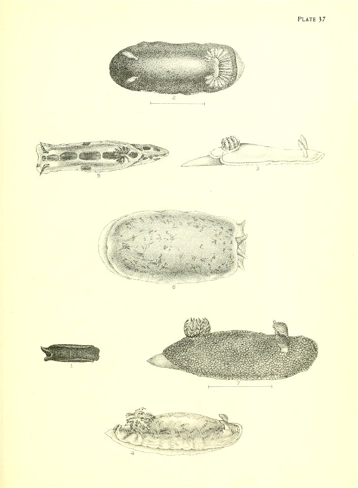 n156_w1150