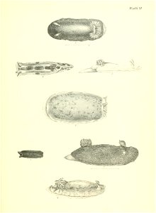 n156_w1150