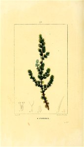 n191_w1150
