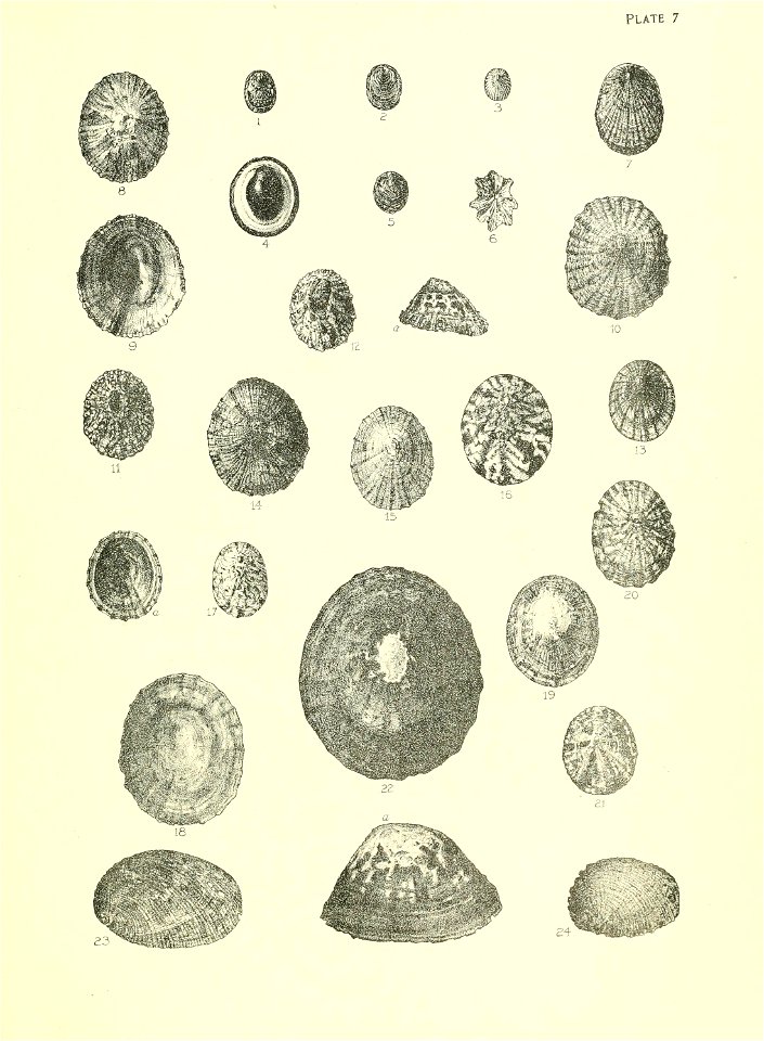 n36_w1150