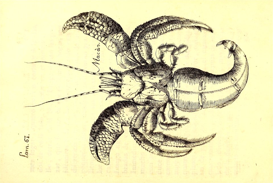 n310_w1150