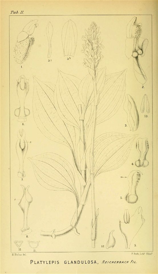n59_w1150