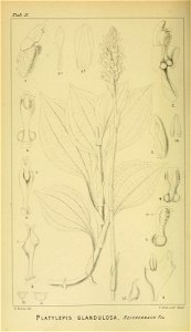n59_w1150